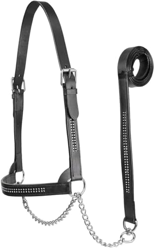 Derby Originals New and Improved Premium Crystal Bling Rhinestone Inlay Flat Leather Cattle Show Halter with Matching Chain Lead - color: Black, size: Medium (650-1050lbs)