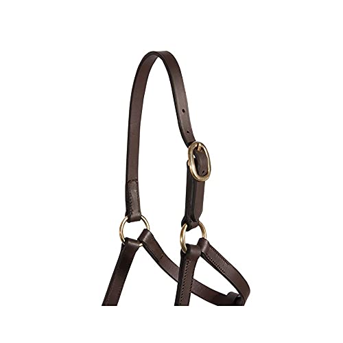 Schneiders Premier Leather Foal Halter for Horses - Weanling | Premium Grade A Leather | Designed for Growing Foals | Adjustable Curb for Customized Fit | Includes Grab Strap | Brass Plated Hardware