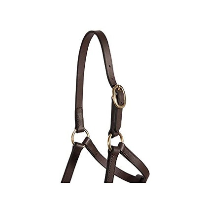 Schneiders Premier Leather Foal Halter for Horses - Weanling | Premium Grade A Leather | Designed for Growing Foals | Adjustable Curb for Customized Fit | Includes Grab Strap | Brass Plated Hardware