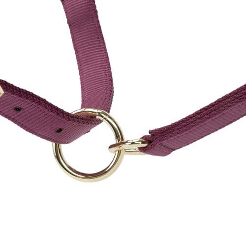 Shires ARMA Adjustable Nylon Halter - color: Burgundy, size: Cob