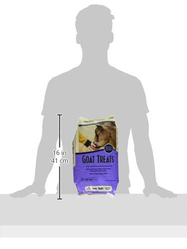 Manna Pro Goat Treats, Licorice Flavor, Nutritious Goat Snacks with Oatmeal, Great-Goat Supplements Alternative, Ideal for Goats, Sheep & Small Livestock, 6 lb (Pack of 2) - size: 6 Pound (Pack of 2)