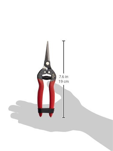 Corona Long Straight Snip
