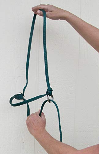 Extra Small - Sheep, Goat, Small Calf Adjustable Halter & Lead USA 250-700bs (Neon Lime Green)