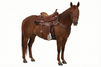 ProRider Horse Western Roper Stirrup Saddle Sloped Angled Stirrups Aluminum USA Flag 5199