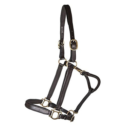 Premier Scottsdale Padded 3/4 Leather Halter for Horses | Luxury Meets Comfort for Your Horse | No-Rub Padded Design | Adjustable