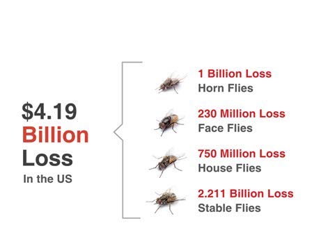 Champion USA JustiFLY Feedthrough Cattle Fly Control, Single | Non-Toxic Larvicide. Controls All Four Fly Species That Affect Cattle. Over 50 Million Head Treated