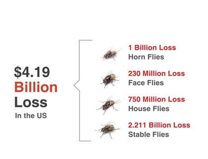Champion USA JustiFLY Feedthrough Cattle Fly Control, Single | Non-Toxic Larvicide. Controls All Four Fly Species That Affect Cattle. Over 50 Million Head Treated