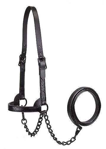 Derby Originals Black Midnight All Black Premium Flat Fancy Stitch Leather Cattle Show Halter with Matching Chain Lead - size: Large (950lbs-1500lbs)