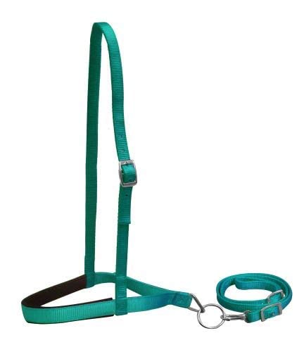 Showman Premium Nylon Noseband Tie Down w/Strap - color: Teal