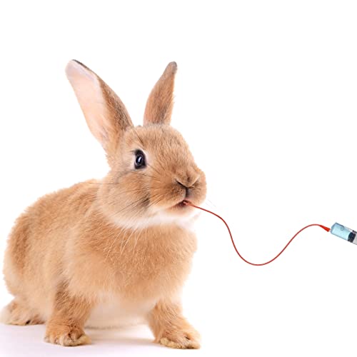 Nuanchu 3 Sets Puppy Kitten Feeding Tube Kit for Small Animals