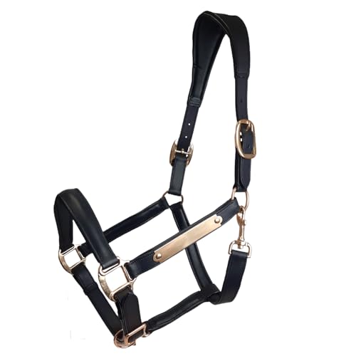 All Sides Padded Curved Design Horse Leather Halter with Brass Name Plate - color: Black, size: Oversize/Warmblood