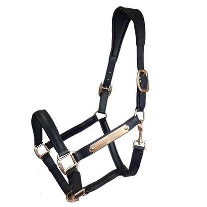 All Sides Padded Curved Design Horse Leather Halter with Brass Name Plate - color: Black, size: Oversize/Warmblood