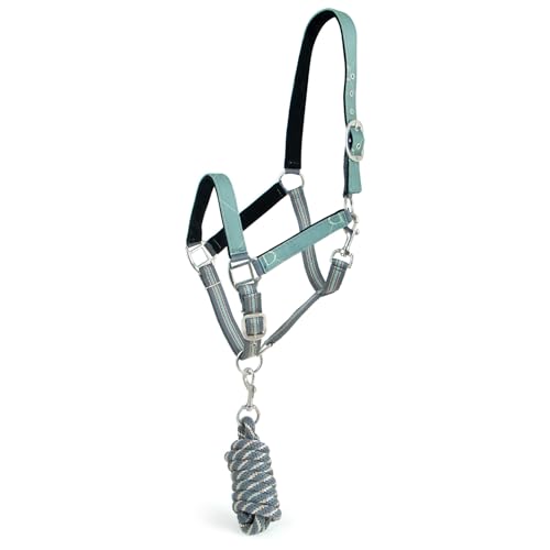 Jeffers Poplar Head Adjustable Padded Nylon Halter & Matching Lead Set with Quick Snap for Horses, Full Size Horse Halter with Padded Noseband & Crown, Equestrian Training Tack for Stable or Ranch Us - color: Spruce