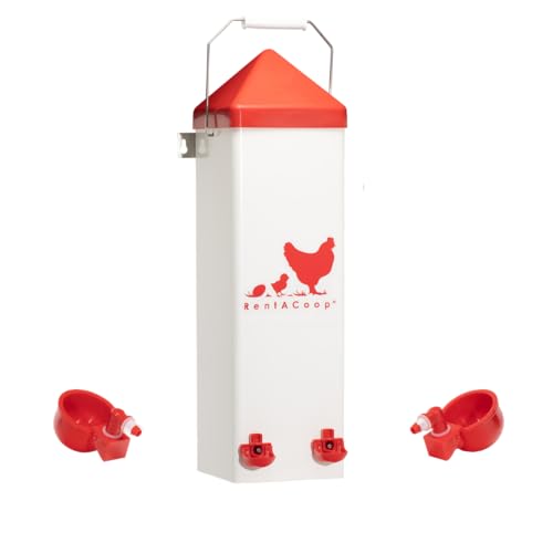 RentACoop Sm Thermo Bucket Belt and 2Gal Tall Waterer