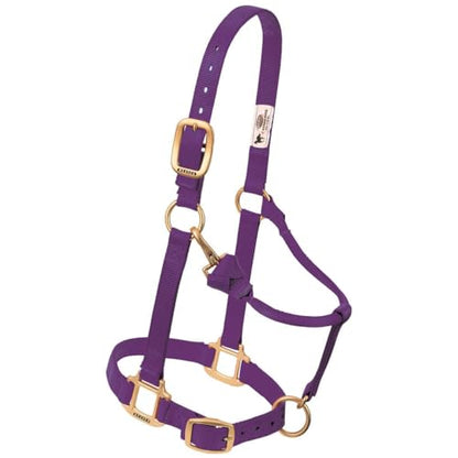 Weaver Leather Original Adjustable Nylon Horse Halter, Suckling, Diva Pink