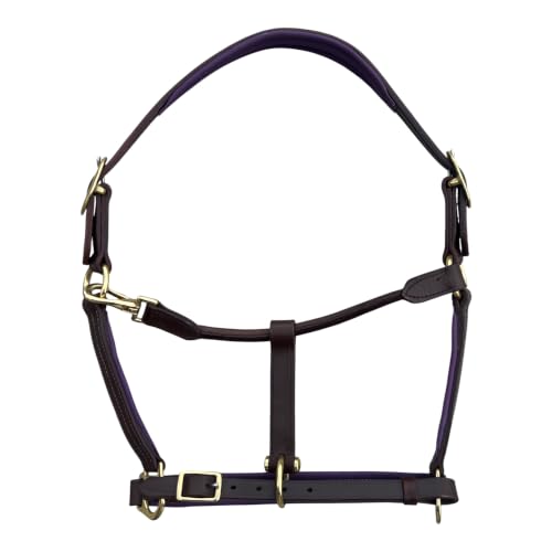 Leaders Premium Padded Leather Horse Halter - Exclusive Pre-Oiled Aniline Leather with Lacquered Solid Brass Hardware & Machined Structural Rings - size: Brown Horse Size/Purple Padding with Nameplate