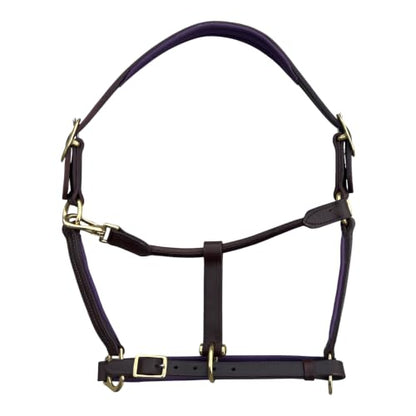 Leaders Premium Padded Leather Horse Halter - Exclusive Pre-Oiled Aniline Leather with Lacquered Solid Brass Hardware & Machined Structural Rings - size: Brown Horse Size/Purple Padding with Nameplate