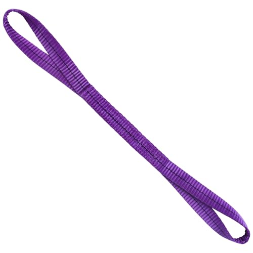 Lift Sling Straps,1" x 2' 2-Ply Heavy Duty Flat Eye Lift Slings | Polyester Lifting Strap Tree Saver Recovery Strap Web Sling Rigging Moving Tow Hoist Gear Straps Kit 3200 lb 2600 lb 6400 lb - color: Purple, size: 1" x 2’