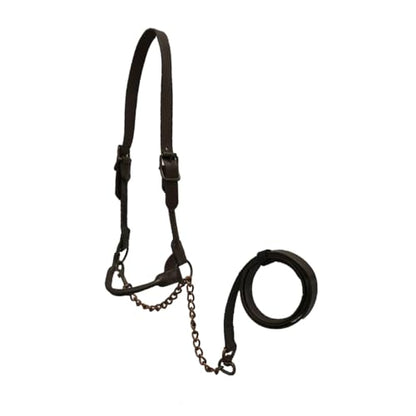 Derby Originals Bronze Beauty Premium Round Rolled Leather Cattle Show Halter with Matching Chain Lead - color: Black, size: Medium (650-1050lbs)