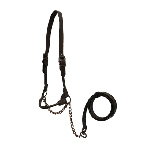 Derby Originals Bronze Beauty Premium Round Rolled Leather Cattle Show Halter with Matching Chain Lead - color: Chestnut, size: Medium (650-1050lbs)
