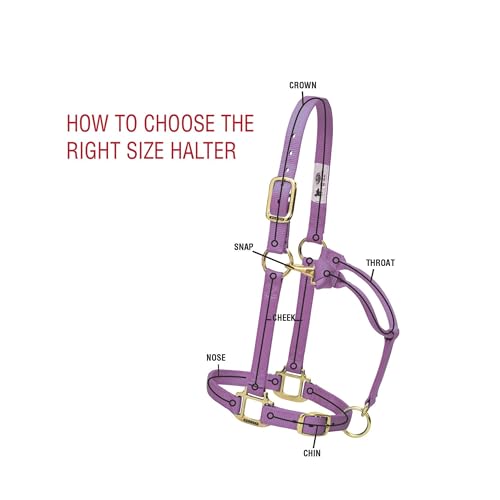 Weaver Leather Original Non-Adjustable Nylon Horse Halter