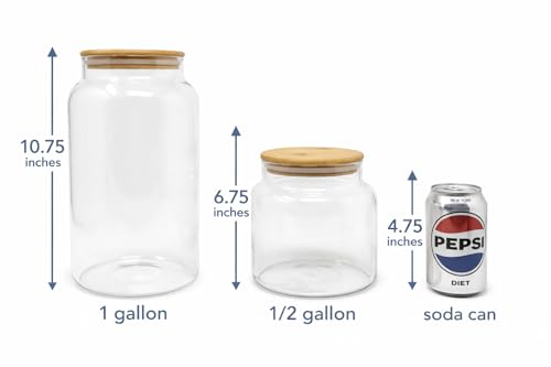 1 Gallon Glass Large Jar with Airtight Bamboo Lid - Strong Clear Borosilicate Canister for Kitchen Food Storage Organizing, Terrarium, Pantry Decorative Container & Laundry Room - Pack of 1