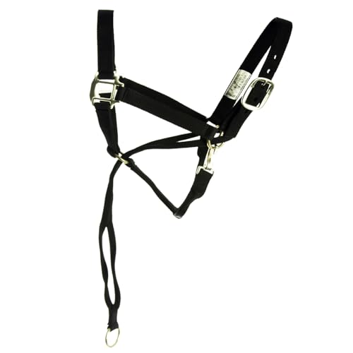 Basic Pull Back Training Halter - color: Black