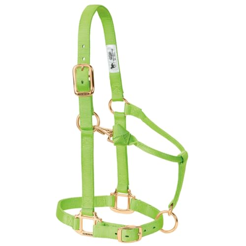 Weaver Leather Original Adjustable Nylon Horse Halter, Suckling, Diva Pink