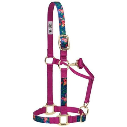 Weaver Leather Adjustable Patterned Nylon Horse Halter, Cactus, Average Horse