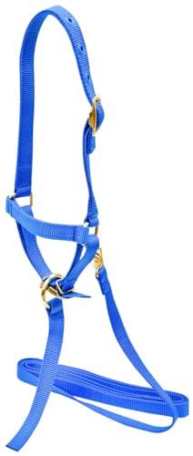 Jeffers Livestock Nylon Sheep Halter & Lead Set – Brass Plated ¾ Adjustable Halter with 6ft Rope for Sheep, Goats, Lambs – Farm, Ranch, Barn, Stable, Milking, Show, Training Gear - Royal Blue - color: Royal Blue