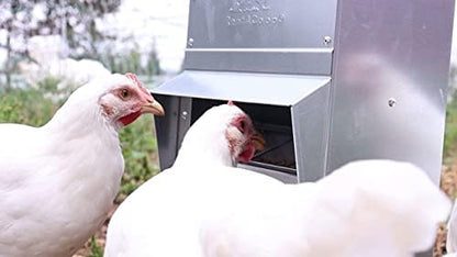 RentACoop Metal Trough Feeder, Gravity-fed 10lb Chicken Feeder - size: 10LB Capacity