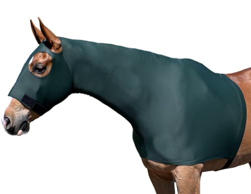 Gatsby StretchX Pull On Slicker Hood XL Hunter - color: Hunter, size: XL