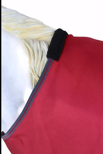 Challenger 1680D Horse Turnout Waterproof Heavy-Weight Winter Blanket Wine 6EE10 - color: Wine Red, size: 80 inches