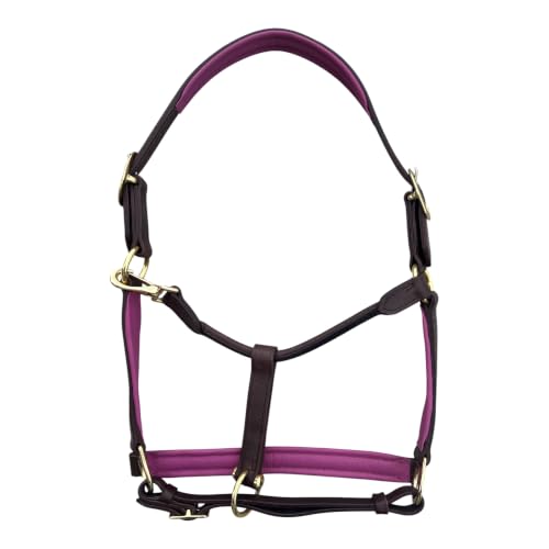 Leaders Premium Padded Leather Horse Halter - Exclusive Pre-Oiled Aniline Leather with Lacquered Solid Brass Hardware & Machined Structural Rings - size: Brown Horse Size/Pink Padding with Nameplate