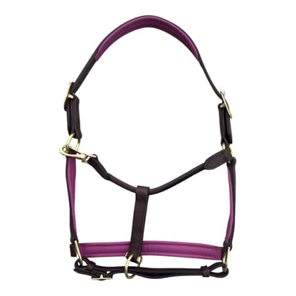 Leaders Premium Padded Leather Horse Halter - Exclusive Pre-Oiled Aniline Leather with Lacquered Solid Brass Hardware & Machined Structural Rings - size: Brown Horse Size/Pink Padding with Nameplate