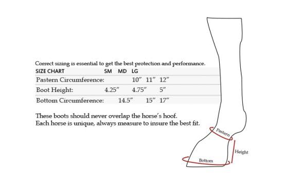 Showman Elite Equine Bell Boots - color: Black, size: Large