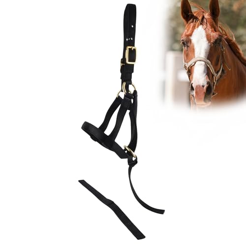 Jeffers Equine Nylon Weanling Halter for Miniature Horses – Adjustable 2 Ply 3/4" Webbing with Brass Plated Hardware, Double Crown Design, Lightweight for Training, Grooming, & Farm Use - Black - color: Black