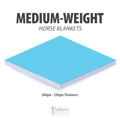 Jeffers Poplar Head Uniquely English 1200 Denier Turnout Blanket, 240 Gram, Spruce Stirrup Irons, 66" - size: 66 in