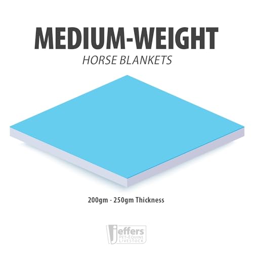 Poplar Head Uniquely English 1200 Denier Turnout Blanket, 240 Gram, Spruce Stirrup Irons, 72" - size: 72 in