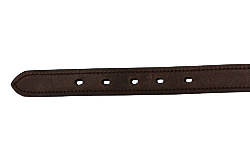 Tahoe Tack Double Stitched Leather Breakaway Halter Replacement Crown – Your Choice of 21" or 25" Length - color: Brown, size: 25"