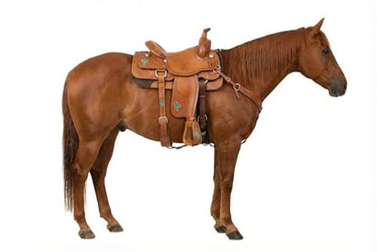 Horse Western Turquoise Cactus Tooled Leather Covered Saddle Stirrups 51238 - color: Tan Cactus