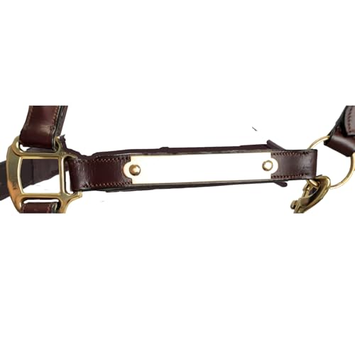 All Sides Padded Curved Design Horse Leather Halter with Brass Name Plate - color: Black, size: Oversize/Warmblood