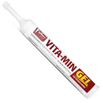 Jeffers Vita-Min Gel for Livestock & Horses – Multivitamin & Mineral Supplement with Selenium, Zinc, Potassium & Turmeric – Easy Oral Gel for Cattle, Goats, Sheep & Pig – 300 cc Tube - size: 300 cc