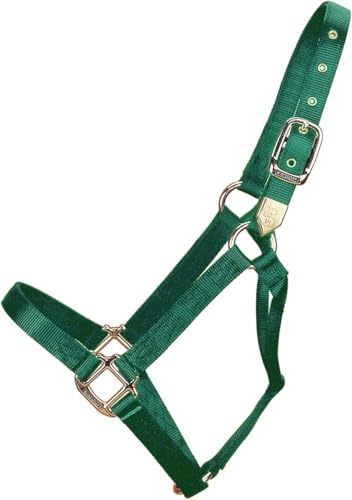 Hamilton Deluxe Horse Halter, 300-500 lbs, Dark Green - color: Dark Green, size: Yearling, 300-500lbs