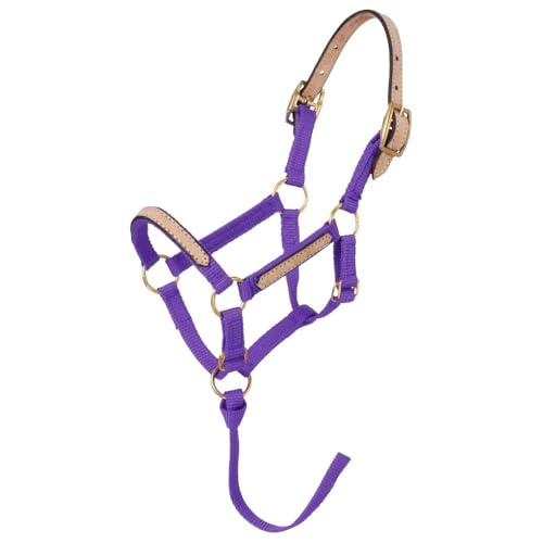 Tough1 Miniature Nylon Breakaway Halter - color: Purple, size: Medium