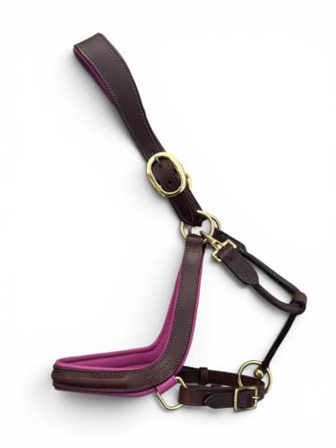 Leaders Padded Curved Leather Halter with Customized Engraved Name Plate Ergonomic Leather Halter for Horses - size: Horse Brown/Pink