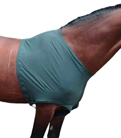 Majestic Ally Premium 4-Way Stretch Spandex/Elastane Horse Shoulder Guard for and Protection, Large, Hunter Green - color: Hunter Green