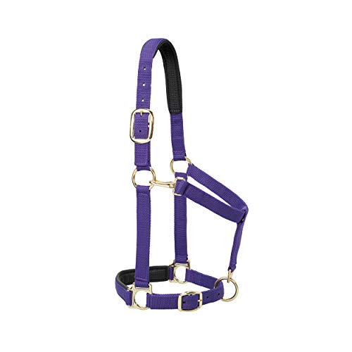 Weaver Leather Padded Adjustable Nylon Horse Halter