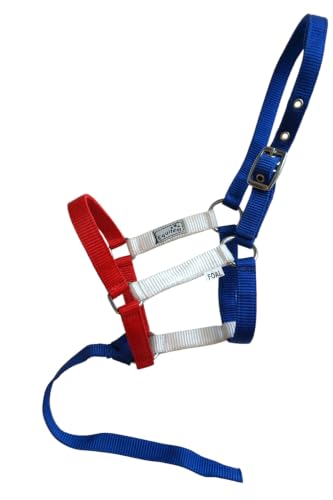 Nylon Foal Halter with Detachable 13" Catch - color: RWBlue