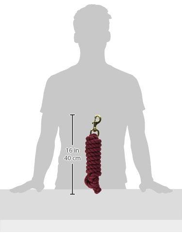 Hamilton Cotton Lead with Brass-Plated Bolt Snap, Wine, 3/4" Thick x 10' Long - color: Wine, size: 3/4" x 10'